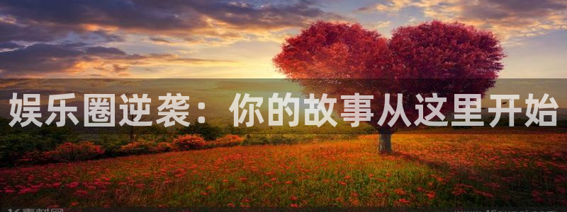 PG电子2登录：娱乐圈逆袭：你的故事从这里开始