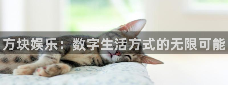PG电子平台开户链接：方块娱乐：数字生活方式的无限可能