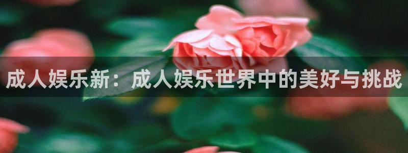 PG电子平台开户链接：成人娱乐新：成人娱乐世界中的美好与挑战