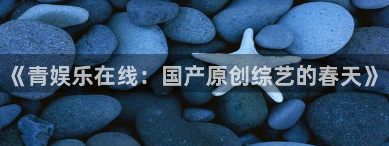 PG电子凯捷开号链接：《青娱乐在线：国产原创综艺的春天》