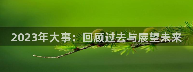 PG电子平台主管：2023年大事：回顾过去与展望未来