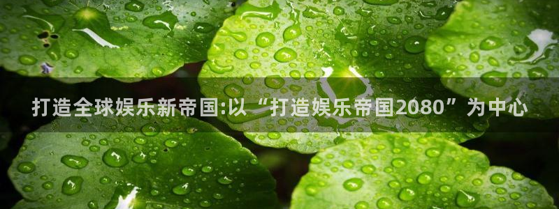 PG电子体育平台登录入口：打造全球娱乐新帝国:以“打造娱乐帝国2080”为中心