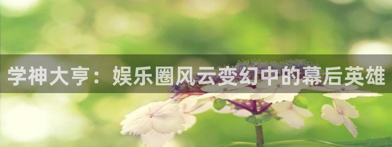 PG电子4代理：学神大亨：娱乐圈风云变幻中的幕后英雄