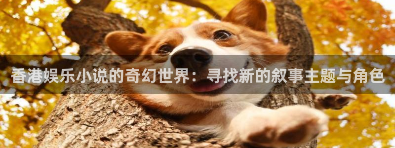 PG电子体育平台登录入口：香港娱乐小说的奇幻世界：寻找新的叙事主题与角色