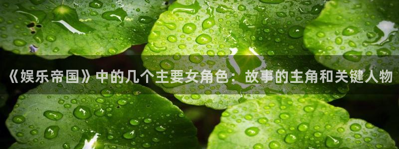PG电子包怎么样：《娱乐帝国》中的几个主要女角色：故事的主角和关键人物