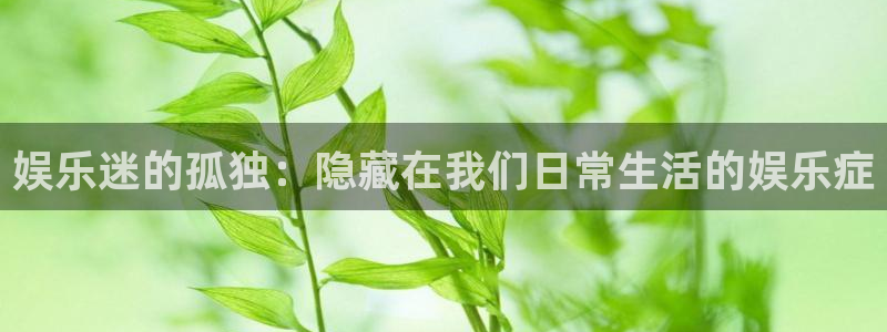 PG电子2登录地址：娱乐迷的孤独：隐藏在我们日常生活的娱乐症