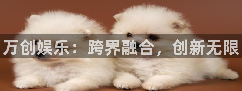 PG电子体育在线注册：万创娱乐：跨界融合，创新无限