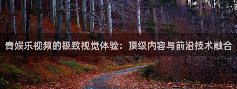PG电子体育3：青娱乐视频的极致视觉体验：顶级内容与前沿技术融合