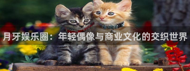 PG电子体育：月牙娱乐圈：年轻偶像与商业文化的交织世界