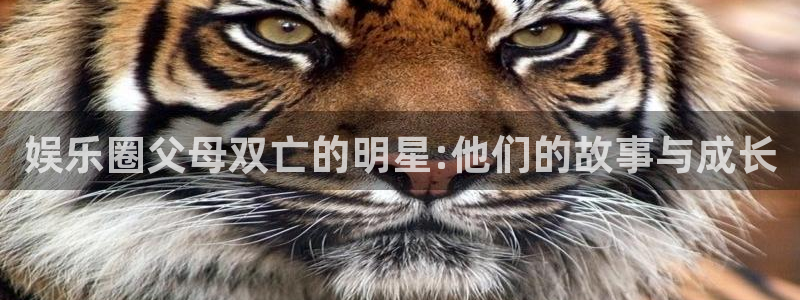 PG电子4平台注册：娱乐圈父母双亡的明星:他们的故事与成长