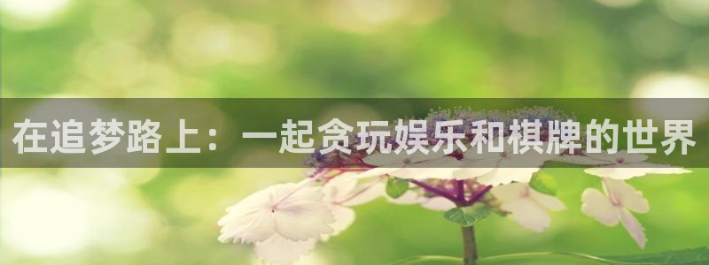 PG电子能源：在追梦路上：一起贪玩娱乐和棋牌的世界