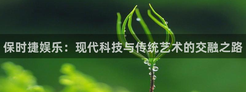 PG电子体育在线注册：保时捷娱乐：现代科技与传统艺术的交融之路