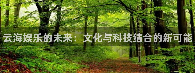 PG电子3平台登录注册：云海娱乐的未来：文化与科技结合的新可能