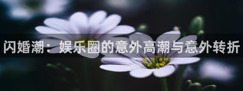 PG电子体育免费注册入口：闪婚潮：娱乐圈的意外高潮与意外转折