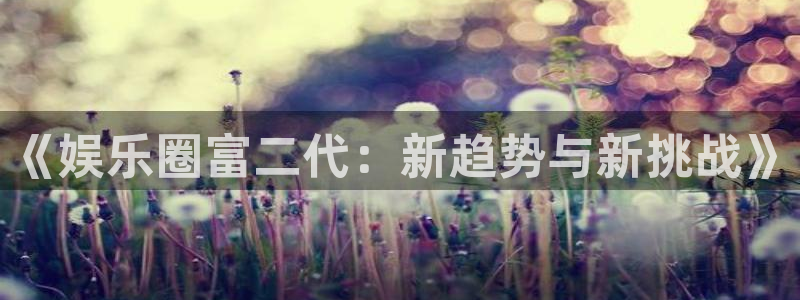 PG电子主管：《娱乐圈富二代：新趋势与新挑战》