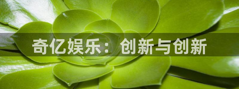 PG电子体育论坛：奇亿娱乐：创新与创新